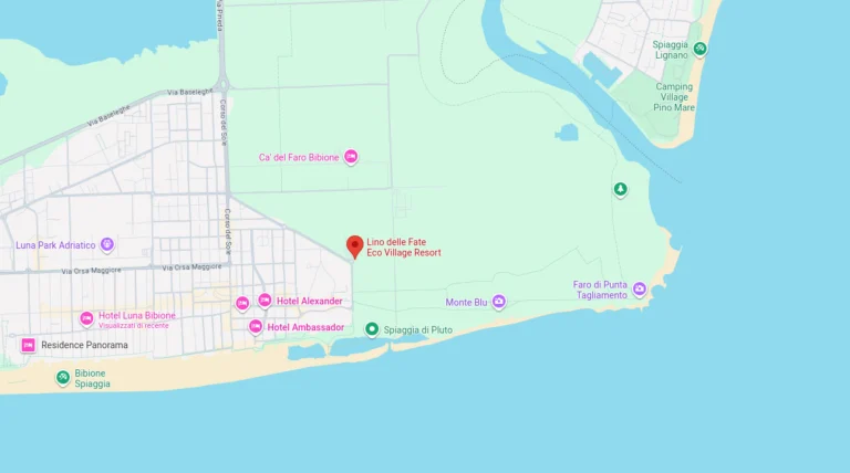 Anteprima Google maps